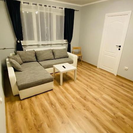 Dacia Apartment 蒂米什瓦拉 外观 照片