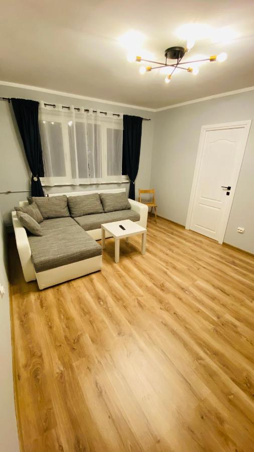 Dacia Apartment 蒂米什瓦拉 外观 照片