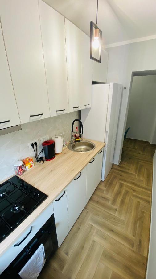 Dacia Apartment 蒂米什瓦拉 外观 照片