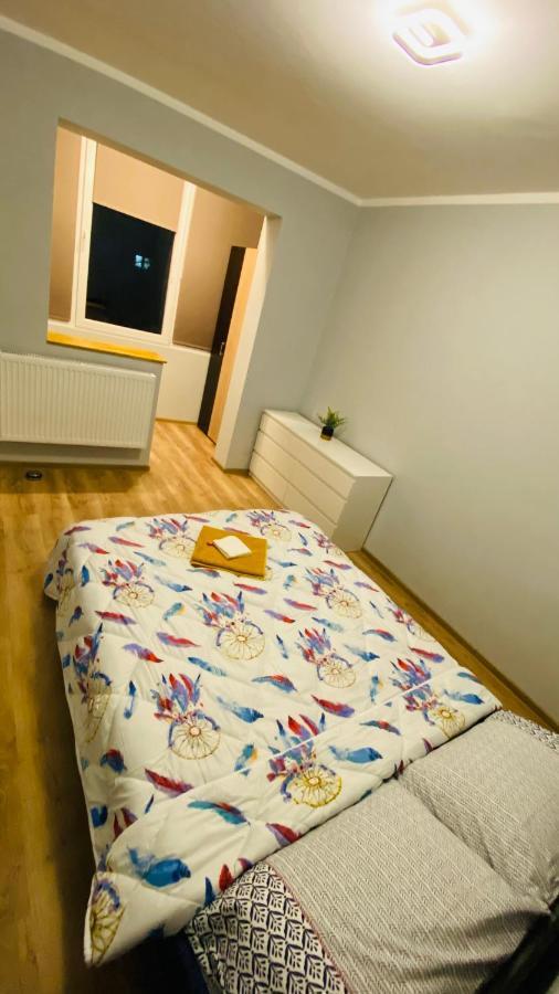 Dacia Apartment 蒂米什瓦拉 外观 照片